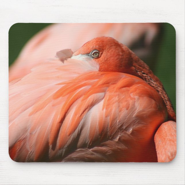 Flamingo Mousepad (Vorne)