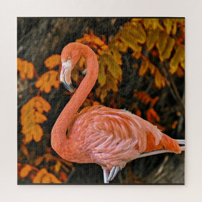 Flamingo, nah und schön puzzle (Vertikal)
