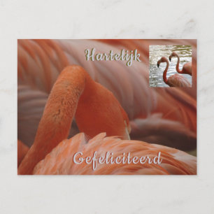 Flamingo Nah Up Happy Birthday Postcard Postkarte