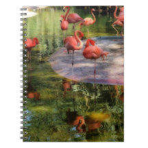 Flamingo-Notebook