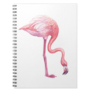 Flamingo Notizblock