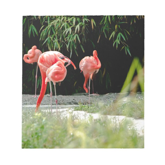 Flamingo Notizblock (Vorderseite)