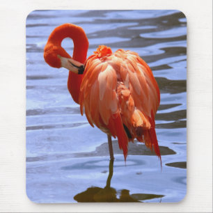 Flamingo on leg in water mousepad