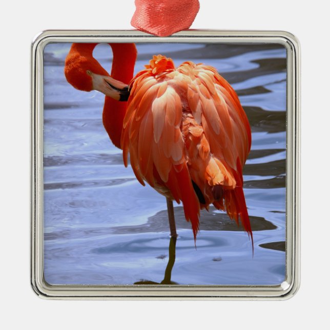 Flamingo on leg in water silbernes ornament (Vorne)