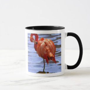 Flamingo on leg in water tasse
