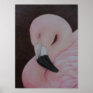 Flamingo Original Bird Art Print Poster