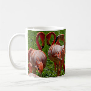 Flamingo-Paradies Tasse