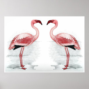 FLAMINGO PARK Flamingo Flock Flock Kunstdrucken Poster