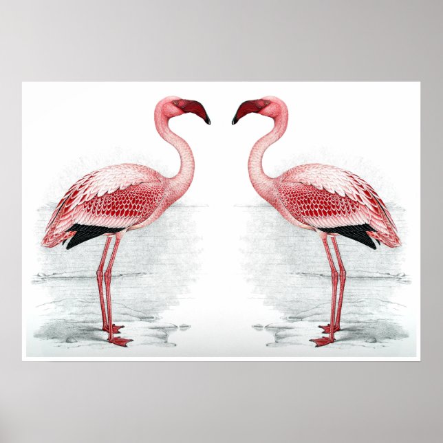 FLAMINGO PARK Flamingo Flock Flock Kunstdrucken Poster (Vorne)
