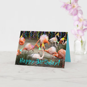 Flamingo Party Birds Happy Birthday Card Karte