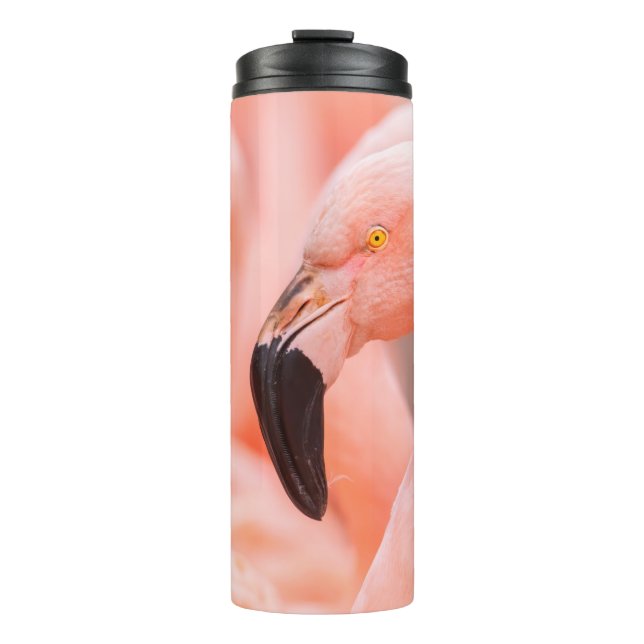 Flamingo (Phoenicopterus chilensis), mit  Thermosbecher (Vorderseite)