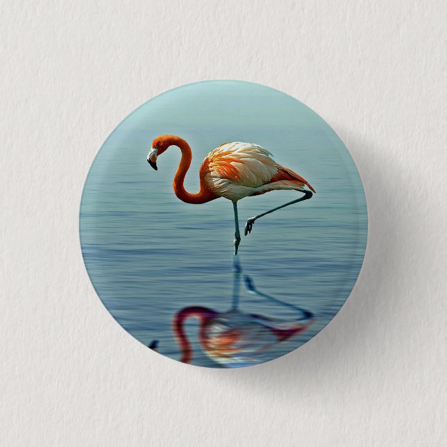 Flamingo Pink Reflection Wildlife Foto Button (Vorderseite)