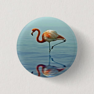 Flamingo Pink Reflection Wildlife Foto Button