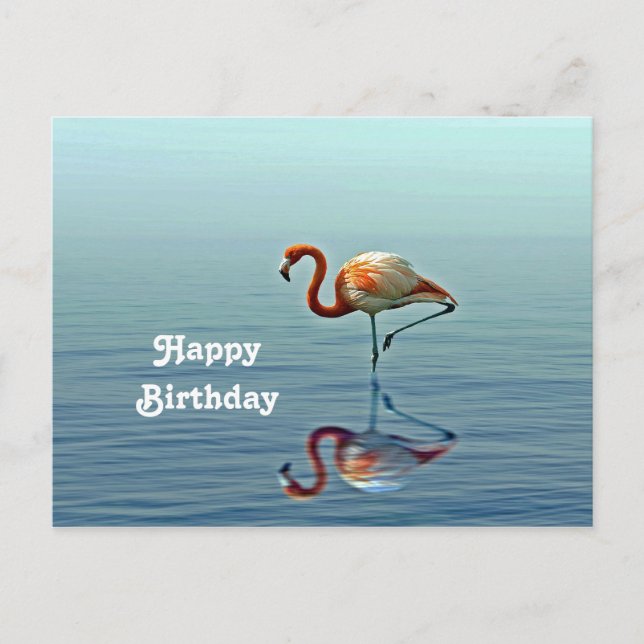 Flamingo Pink Reflection Wildlife Foto Geburtstag Postkarte (Vorderseite)