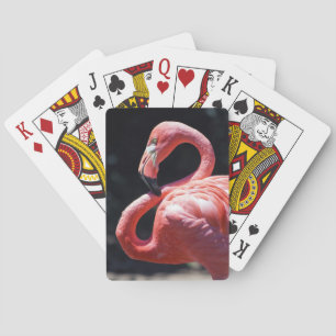 Flamingo Playing Cards Spielkarten