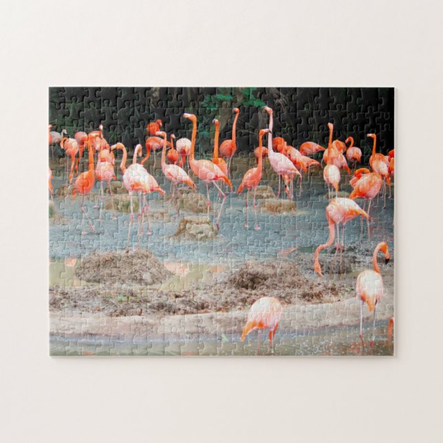 Flamingo Pond Singapur. Puzzle (Horizontal)