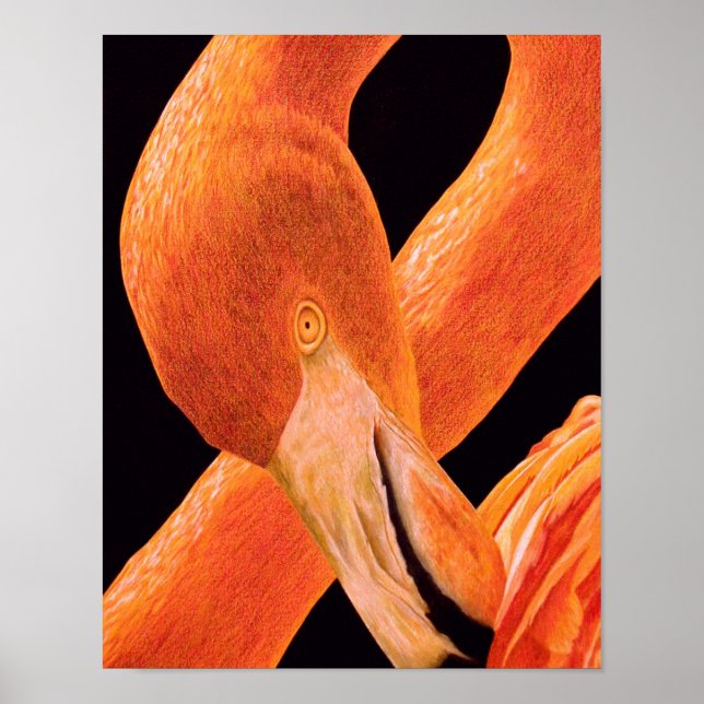Flamingo Portrait Poster (Vorne)