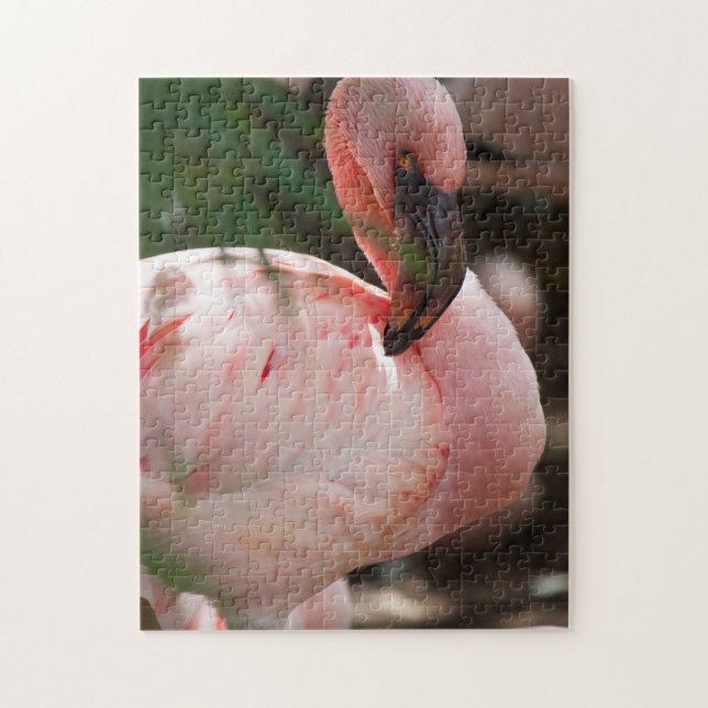 Flamingo Portrait Puzzle (Vertikal)