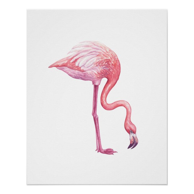 Flamingo Poster (Vorderseite)