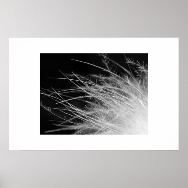 Flamingo Poster (Vorne)