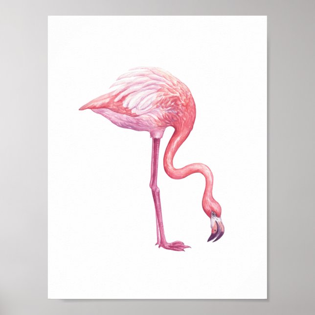 Flamingo Poster (Vorne)