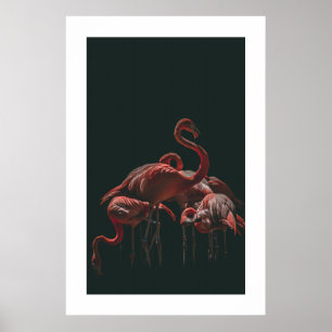Flamingo Poster