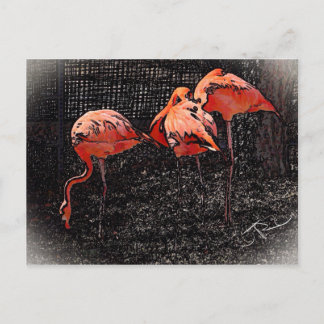 Flamingo Postkarte