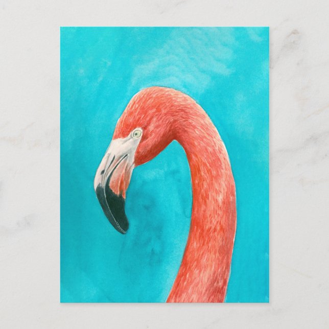 Flamingo Postkarte (Vorderseite)