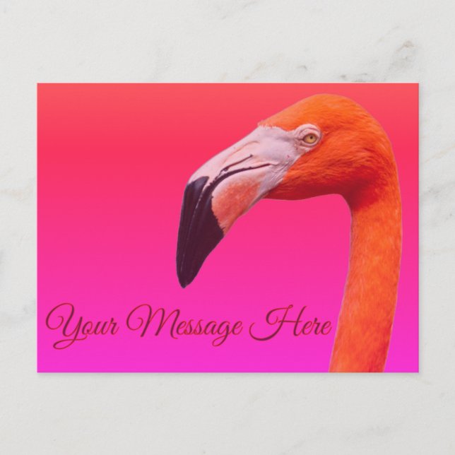 Flamingo Postkarte  (Vorderseite)