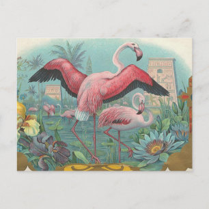 Flamingo Postkarte