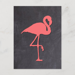 Flamingo Postkarte