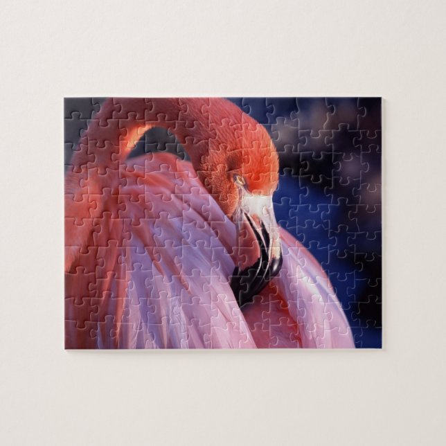 Flamingo Puzzle (Horizontal)