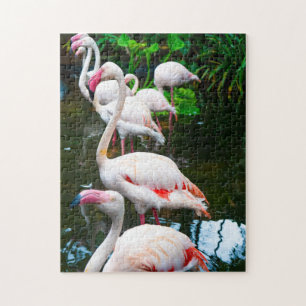 Flamingo Puzzle