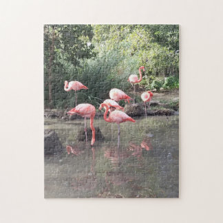 Flamingo Puzzle