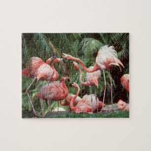 Flamingo-Puzzlespiel Puzzle