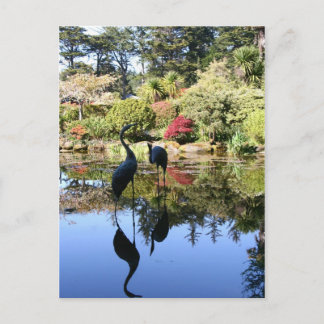 Flamingo Reflection Postkarte