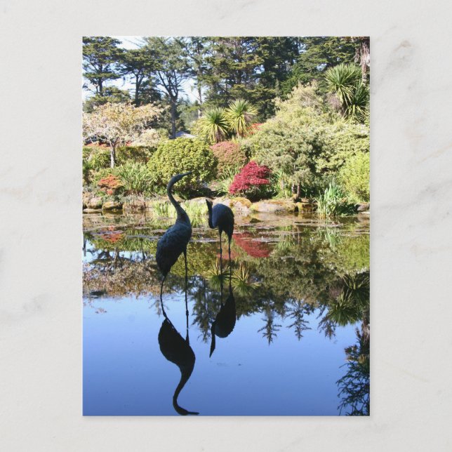 Flamingo Reflection Postkarte (Vorderseite)