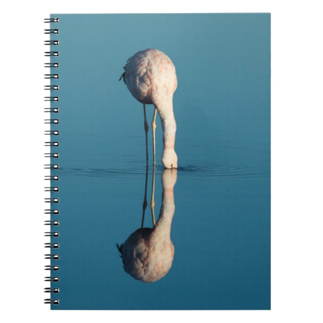Flamingo-Reflexion, Laguna Chaxa, Atacama Notizblock (Vorderseite)