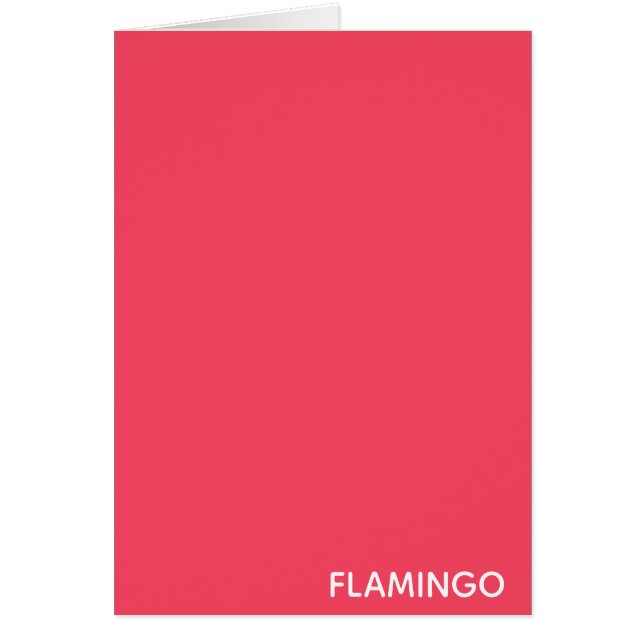 Flamingo rosa Farbname (Vorne)