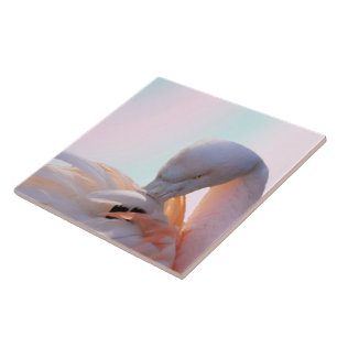 Flamingo-rosa Minze Fliese