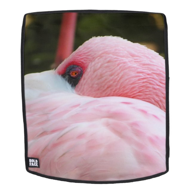 Flamingo Rucksack (Abnehmbare Front)