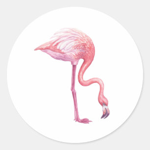 Flamingo Runder Aufkleber