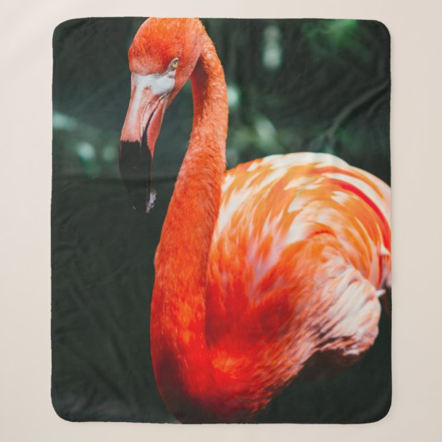 FLAMINGO SHERPADECKE (Vorderseite)