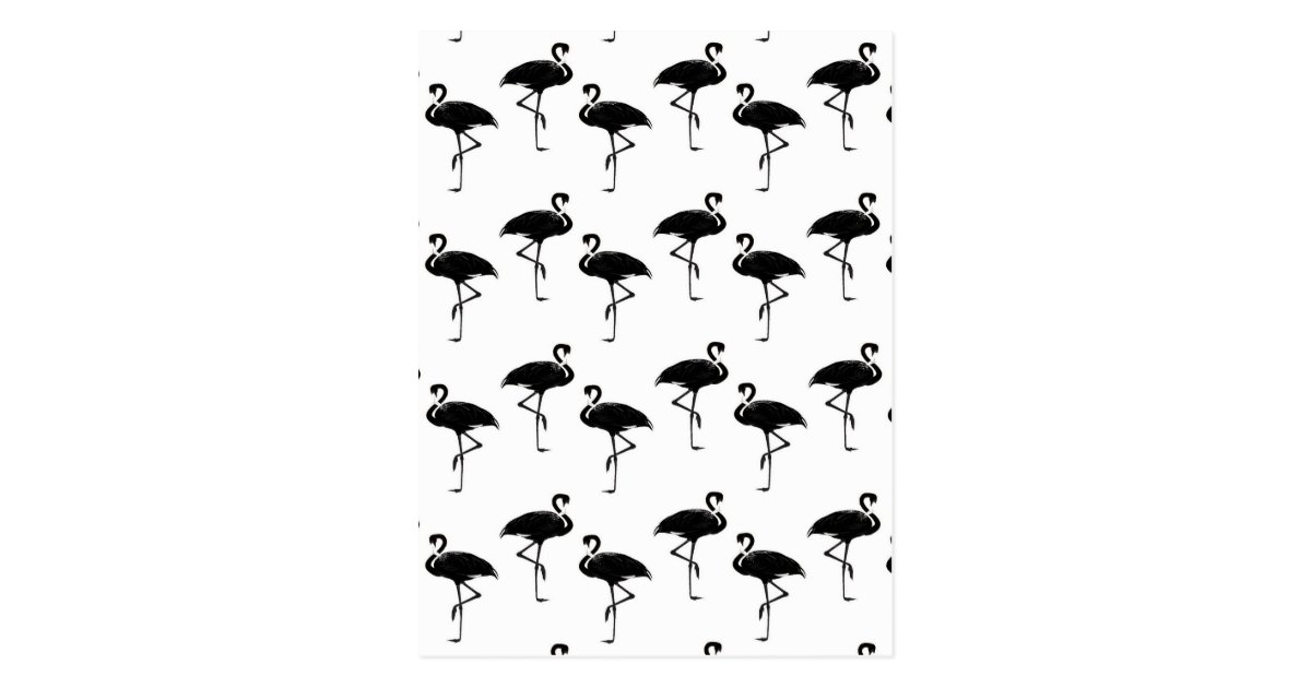 Flamingo Silhouette Muster Schwarz Weiss Postkarte Zazzle At