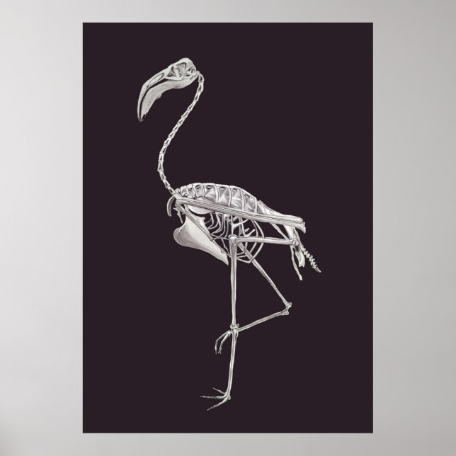 Flamingo Skeleton Bird Halloween Animal Anatomie Poster (Vorne)