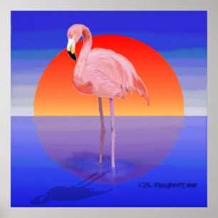 Flamingo-Sonnenuntergang Poster