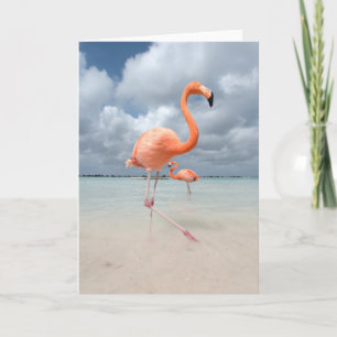 Flamingo-Strand Aruba Karte