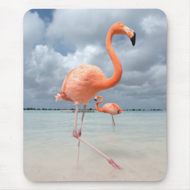 Flamingo-Strand Aruba Mousepad (Vorne)