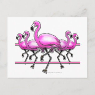 Flamingo Strip Postkarte
