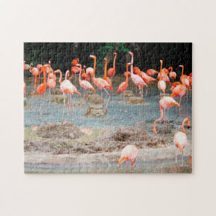 Flamingo-Teich Singapur. Puzzle